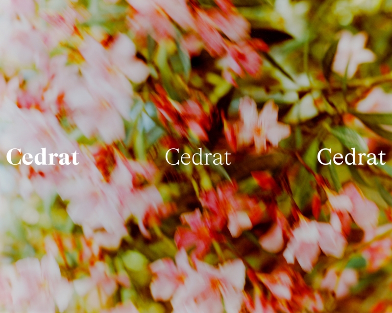 formagari-cedrat-typeface-emmanuel-besse-x1-1-00001