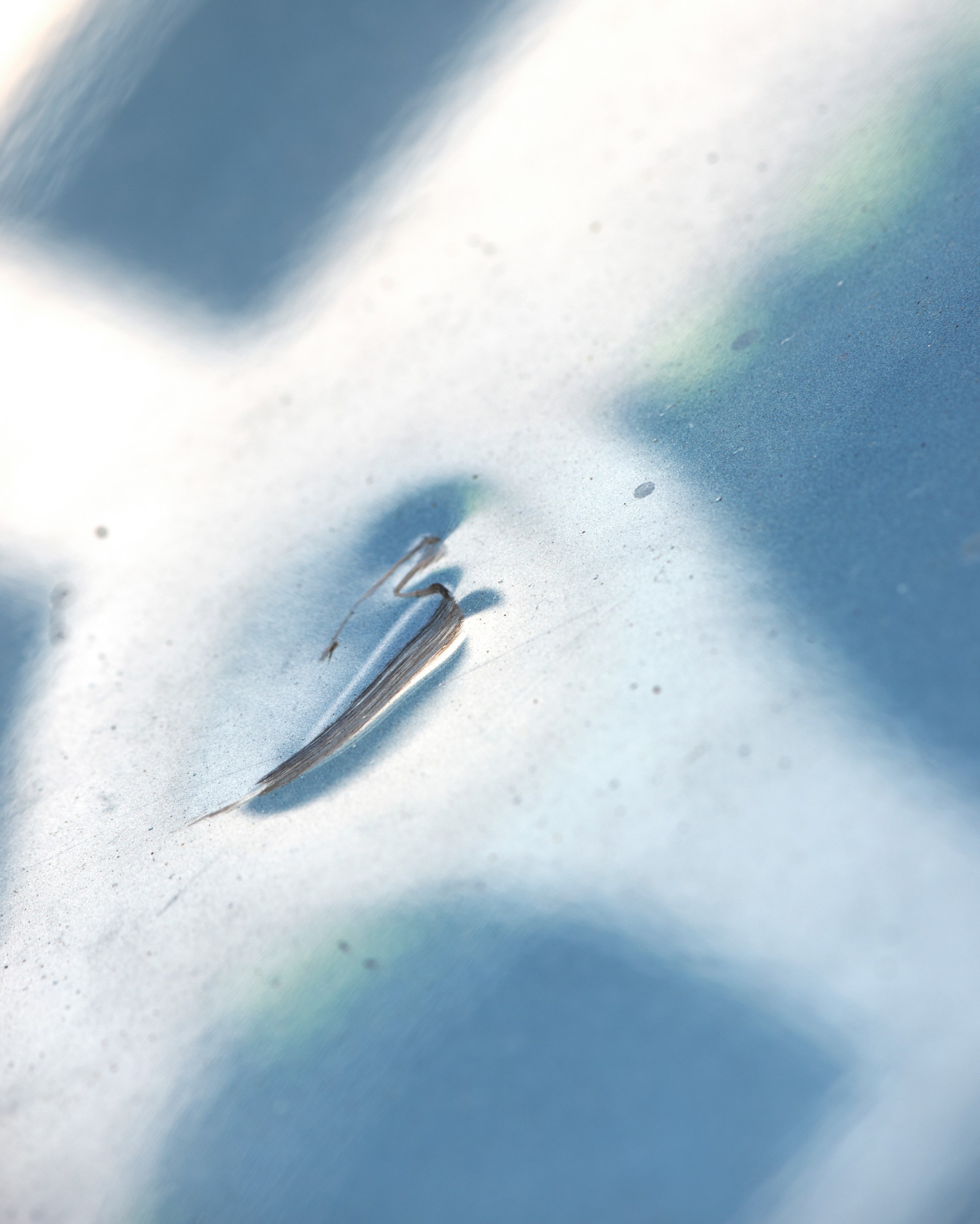 for-pierre-girardin-9-2